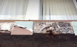 Concrete Cancer Window sil