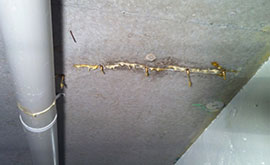 Concrete Crack injection ceiling